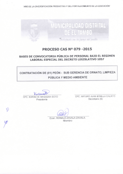Descargar - Municipalidad Distrital de El Tambo