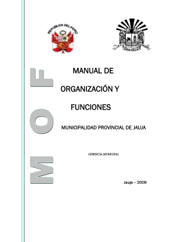 manual de organizaciÃ³n y funciones