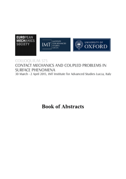 Book of Abstracts - musam - IMT Institute for Advanced Studies Lucca