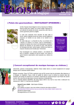 Newsletter ChÃ¢teau de Blois juin 2015 2367.50 ko | PDF
