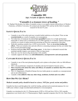 Cannabis 101 - Chronic Relief | What is Medical Marijuana