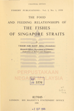 The food and feeding relationships of the fishes of Singapore straits