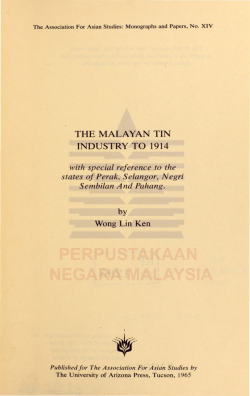 The Malayan tin industry to 1914 : with special reference to the