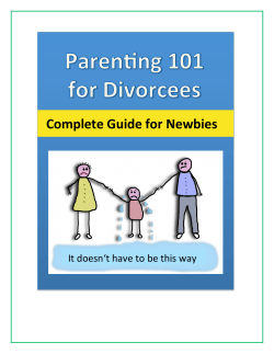 Complete Guide for Newbies - My Singapore Divorce Lawyer