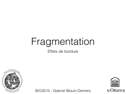 5.4.2 - fragmentation