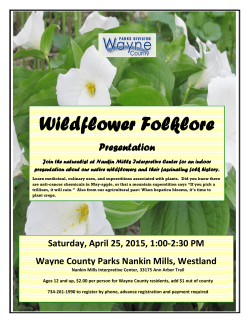 Wildflower Folklore - Friends of Nankin Mills