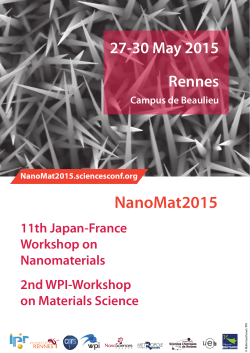 Book of Abstracts - NanoMat2015