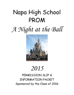 A Night at the Ball 2015