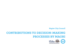 contributions to decision-making processes by maori