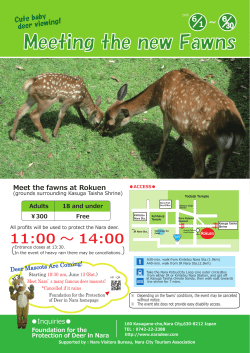Meeting the new Fawns
