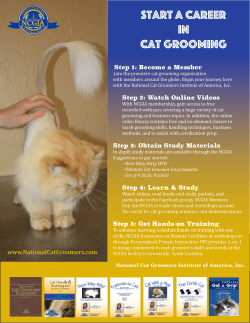 start a career in cat grooming - National Cat Groomers Institute of