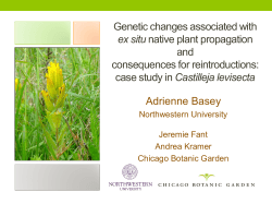 Genetic changes associated with ex situ native plant propagation