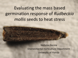 Evaluating the germination response of mass separated Rudbeckia
