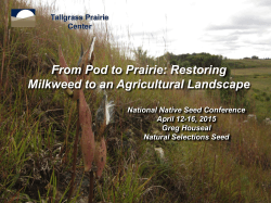 From Pod to Prairie: Restoring Milkweed to an Agricultural Landscape