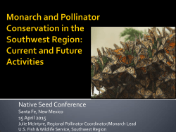 Monarch Butterfly and Pollinator Conservation in the Southwest