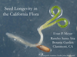 Seed Longevity in the California Flora