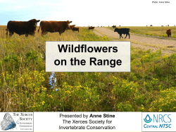 Wildflowers on the Range - 2015 National Native Seed Conference