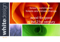 wood for good in the 21st century