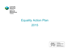 Equality Action Plan 2015