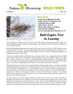 WILD TIMES Bald Eagles Nest in Lansing