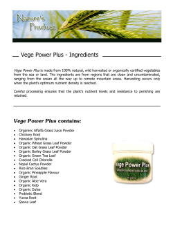 Vege Power Plus - Ingredients