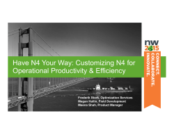 Have N4 Your Way: Customizing N4 for Operational