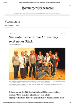 Hamburger Abendblatt 01.04.2015