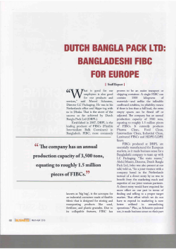 Bangladeshi FIBC for Europe - Netherlands Bangladesh Business