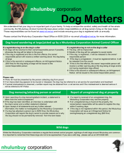 2015 Dog Matters Amac