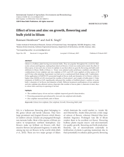 Effect of iron and zinc on growth, flowering and bulb yield in lilium