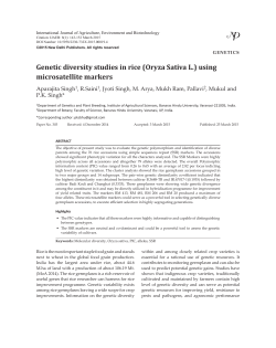 Genetic diversity studies in rice