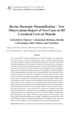 2 Bovine Haematic Mummification â New Observations