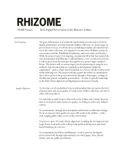 Born-Digital Preservation in the Rhizome ArtBase