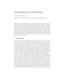 Thermodiffusion in the Critical Region
