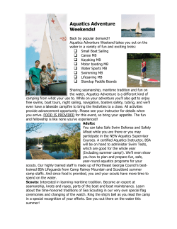Aquatics Flyer 2015 - Northeast Georgia Council