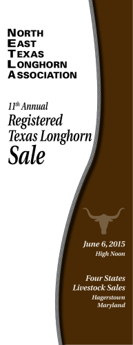 Registered Texas Longhorn - The Northeast Texas Longhorn
