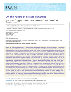 On the nature of seizure dynamics