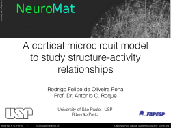 A cortical microcircuit model to study structure - NeuroMat