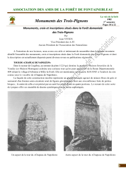 Monuments des Trois-Pignons - Site rÃ©servÃ© aux Amis de la ForÃªt