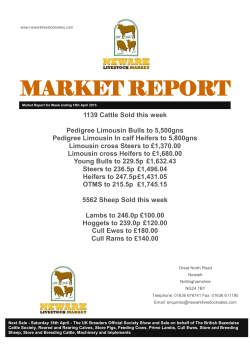 MARKET REPORT - Newark Livestock Sales