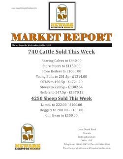 740 Cattle Sold This Week