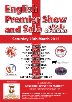 English Premier Show and Sale