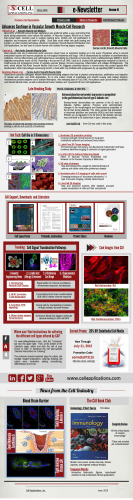 e-Newsletter Issue 6 - Studies featuring Cell Applications primary cells