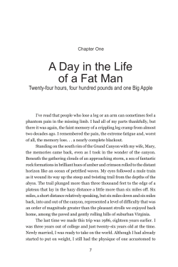 A Day in the Life of a Fat Man