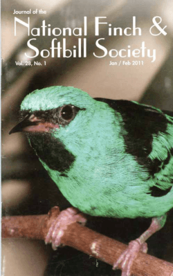 and Softbills Magazine - National Finch & Softbill Society