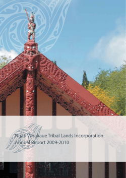 NgÄti Whakaue Tribal Lands Incorporation Annual