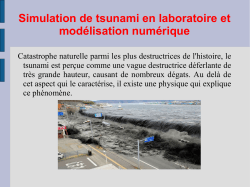 Simulation de tsunami - Nice physics camp 2015