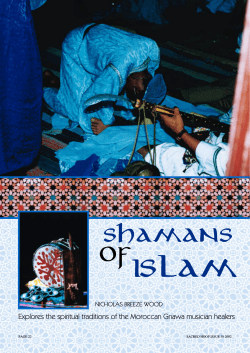 SHAMANS OF ISLAM - Nicholas Breeze Wood