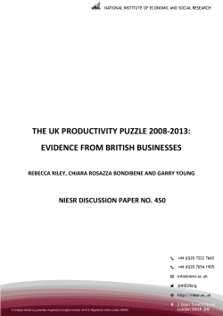 the uk productivity puzzle 2008-2013: evidence from british