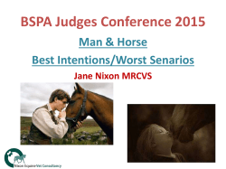 bspa-judges-conference-2015 slides